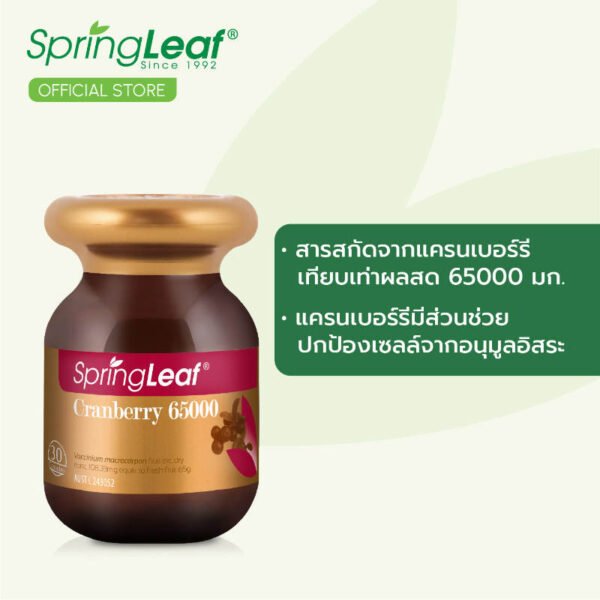 สปริงลีฟแครนเบอร์รี 30แคปซูล - Image 5